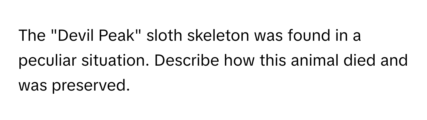 The "Devil Peak" sloth skeleton was found in a peculiar situation. Describe how this animal died and was preserved.