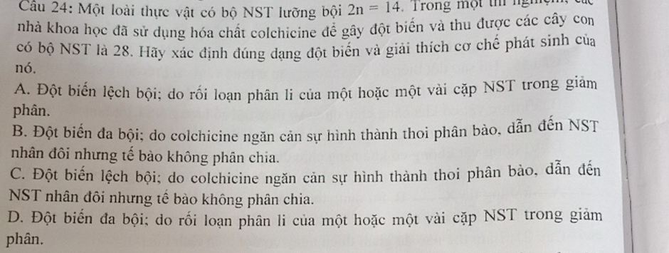 Một loài thực vật có bộ NST lưỡng bội 2n=14 Trong một thí ngm
nhà khoa học đã sử dụng hóa chất colchicine để gây đột biến và thu được các cây com
có bộ NST là 28. Hãy xác định đúng đạng đột biển và giải thích cơ chế phát sinh của
nó.
A. Đột biến lệch bội; do rối loạn phân li của một hoặc một vài cặp NST trong giảm
phân.
B. Đột biến đa bội; do colchicine ngăn cản sự hình thành thoi phân bào, dẫn đến NST
nhân đôi nhưng tế bào không phân chia.
C. Đột biến lệch bội; do colchicine ngăn cản sự hình thành thoi phân bào, dẫn đến
NST nhân đôi nhưng tế bào không phân chia.
D. Đột biến đa bội; do rối loạn phân li của một hoặc một vài cặp NST trong giảm
phân.