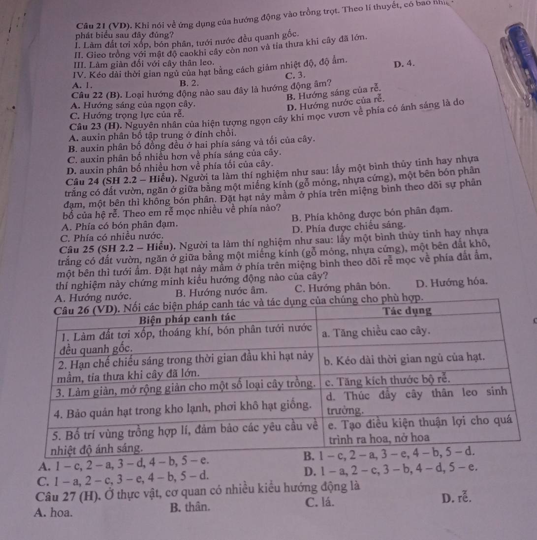 (VD). Khi nói về ứng dụng của hướng động vào trồng trọt. Theo lí thuyết, có bao nhị
phát biểu sau đây đúng?
I. Làm đất tơi xốp, bón phân, tưới nước đều quanh gốc.
II. Gieo trồng với mật độ caokhi cây còn non và tia thưa khi cây đã lớn.
III. Làm giàn đối với cây thân leo.
IV. Kéo dài thời gian ngủ của hạt bằng cách giảm nhiệt độ, độ ẩm.
D. 4.
A. 1. B. 2. C. 3.
Câu 22 (B). Loại hướng động nào sau đây là hướng động âm?
B. Hướng sáng của rễ.
A. Hướng sáng của ngọn cây.
D. Hướng nước của rễ.
C. Hướng trọng lực của rễ.
Câu 23 (H). Nguyên nhân của hiện tượng ngọn cây khi mọc vươn về phía có ánh sáng là do
A. auxin phân bố tập trung ở đỉnh chồi.
B. auxin phân bố đồng đều ở hai phía sáng và tối của cây.
C. auxin phân bố nhiều hơn về phía sáng của cây.
D. auxin phân bố nhiều hơn về phía tối của cây.
Câu 24 (SH 2.2 - Hiểu). Người ta làm thí nghiệm như sau: lấy một bình thủy tinh hay nhựa
trắng có đất vườn, ngăn ở giữa bằng một miêng kính (gỗ móng, nhựa cứng), một bên bón phân
đạm, một bên thì không bón phân. Đặt hạt nảy mầm ở phía trên miệng bình theo dõi sự phân
bố của hệ rễ. Theo em rễ mọc nhiều về phía nào?
A. Phía có bón phân đạm. B. Phía không được bón phân đạm.
C. Phía có nhiều nước. D. Phía được chiếu sáng.
Câu 25 (SH 2.2 - Hiểu). Người ta làm thí nghiệm như sau: lấy một bình thủy tinh hay nhựa
trắng có đất vườn, ngăn ở giữa bằng một miếng kính (gỗ mỏng, nhựa cứng), một bên đất khô,
bmột bên thì tưới ẩm. Đặt hạt nảy mầm ở phía trên miệng bình theo dõi rễ mọc về phía đất ẩm,
thí nghiệm này chứng minh kiểu hướng động nào của cây?
nước. B. Hướng nước âm. C. Hướng phân bón. D. Hướng hóa.
A. 1 - c, 2 - a, 3 - d, 4 - b, 5 -
C. 1 - a, 2 - c, 3 - e, 4 - b, 5 - d. D. 1 - a,2 - c, 3 - b, 4 - d, 5 - e.
Câu 27 (H). Ở thực vật, cơ quan có nhiều kiểu hướng động là
C. lá.
A. hoa. B. thân. D. rễ.