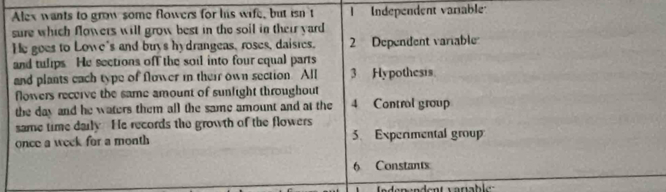 Alex wants to grow some flowers for his wife, but isn't T Independent varable
sure which flowers will grow best in the soil in their yard
He goes to Lowe's and buys hydrangeas, roses, daisies. 2 Dependent variable
and tulips He sections off the soil into four equal parts
and plants each type of flower in their own section. All 3 Hypothesis
flowers receive the same amount of sunlight throughout
the day and he waters them all the same amount and at the 4 Control group
same time daily. He records the growth of the flowers
once a week for a month. Experimental group
6 Constants