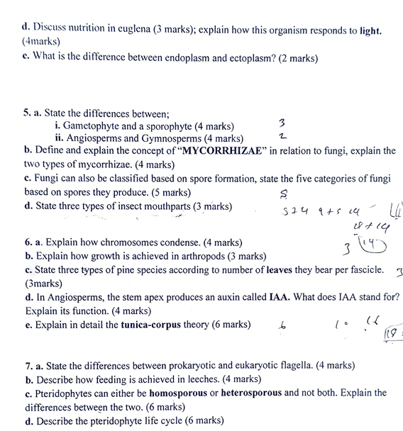 Discuss nutrition in euglena (3 marks); explain how this organism responds to light. 
(4marks) 
e. What is the difference between endoplasm and ectoplasm? (2 marks) 
5. a. State the differences between; 
i. Gametophyte and a sporophyte (4 marks) 
ii. Angiosperms and Gymnosperms (4 marks) 
b. Define and explain the concept of “MYCORRHIZAE” in relation to fungi, explain the 
two types of mycorrhizae. (4 marks) 
c. Fungi can also be classified based on spore formation, state the five categories of fungi 
based on spores they produce. (5 marks) 
d. State three types of insect mouthparts (3 marks) 
6. a. Explain how chromosomes condense. (4 marks) 
b. Explain how growth is achieved in arthropods (3 marks) 
c. State three types of pine species according to number of leaves they bear per fascicle. 
(3marks) 
d. In Angiosperms, the stem apex produces an auxin called IAA. What does IAA stand for? 
Explain its function. (4 marks) 
e. Explain in detail the tunica-corpus theory (6 marks) 
。 
7. a. State the differences between prokaryotic and eukaryotic flagella. (4 marks) 
b. Describe how feeding is achieved in leeches. (4 marks) 
c. Pteridophytes can either be homosporous or heterosporous and not both. Explain the 
differences between the two. (6 marks) 
d. Describe the pteridophyte life cycle (6 marks)