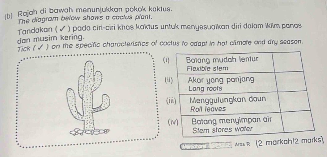 Rajah di bawah menunjukkan pokok kaktus. 
The diagram below shows a cactus plant. 
Tandakan ( ✔ ) pada ciri-ciri khas kaktus untuk menyesuaikan diri dalam iklim panas 
dan musim kering. 
Tick ( ✓ ) on the specific characteristics of cactus to adapt in hot climate and dry season. 
( 
( 
( 
om 2] Ares R [2 markah/2 m]