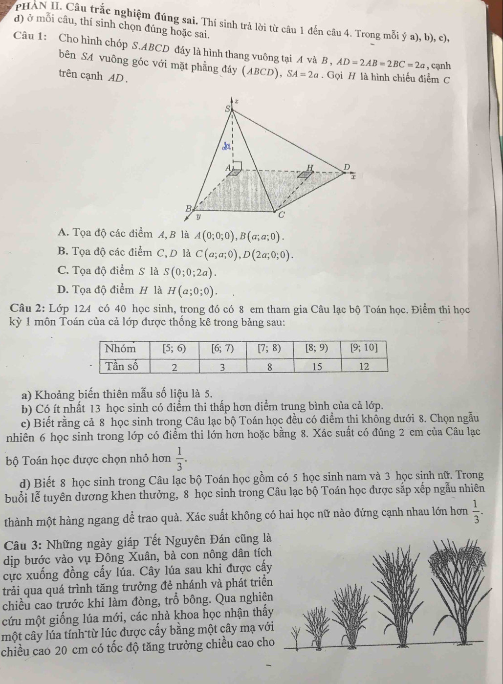 PHAN II. Câu trắc nghiệm đúng sai. Thí sinh trả lời từ câu 1 đến câu 4. Trong mỗi ý a), b), c),
d) ở mỗi câu, thí sinh chọn đúng hoặc sai.
Câu 1: Cho hình chóp S.ABCD đáy là hình thang vuông tại A và B , AD=2AB=2BC=2a , cạnh
bên SA vuông góc với mặt phẳng đáy (AB CD), SA=2a. Gọi H là hình chiếu điểm C
trên cạnh AD .
A. Tọa độ các điểm A,B là A(0;0;0),B(a;a;0).
B. Tọa độ các điểm C, D là C(a;a;0),D(2a;0;0).
C. Tọa độ điểm S là S(0;0;2a).
D. Tọa độ điểm H là H(a;0;0).
Câu 2: Lớp 124 có 40 học sinh, trong đó có 8 em tham gia Câu lạc bộ Toán học. Điểm thi học
kỳ 1 môn Toán của cả lớp được thống kê trong bảng sau:
a) Khoảng biến thiên mẫu số liệu là 5.
b) Có ít nhất 13 học sinh có điểm thi thấp hơn điểm trung bình của cả lớp.
c) Biết rằng cả 8 học sinh trong Câu lạc bộ Toán học đều có điểm thi không dưới 8. Chọn ngẫu
nhiên 6 học sinh trong lớp có điểm thi lớn hơn hoặc bằng 8. Xác suất có đúng 2 em của Câu lạc
bộ Toán học được chọn nhỏ hơn  1/3 .
d) Biết 8 học sinh trong Câu lạc bộ Toán học gồm có 5 học sinh nam và 3 học sinh nữ. Trong
buổi lễ tuyên dương khen thưởng, 8 học sinh trong Câu lạc bộ Toán học được sắp xếp ngẫu nhiên
thành một hàng ngang để trao quà. Xác suất không có hai học nữ nào đứng cạnh nhau lớn hơn  1/3 .
Câu 3: Những ngày giáp Tết Nguyên Đán cũng l
dịp bước vào vụ Đông Xuân, bà con nông dân tích
cực xuống đồng cấy lúa. Cây lúa sau khi được cấ
trải qua quá trình tăng trưởng đẻ nhánh và phát triể
chiều cao trước khi làm đòng, trỗ bông. Qua nghiê
cứu một giống lúa mới, các nhà khoa học nhận thấ
một cây lúa tính từ lúc được cấy bằng một cây mạ vớ
chiều cao 20 cm có tốc độ tăng trưởng chiều cao ch