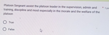 Platoon Sergeant assist the platoon leader in the supervision, admin and
training, discipline and most especially in the morale and the welfare of the 1 pc
platoon
True
False