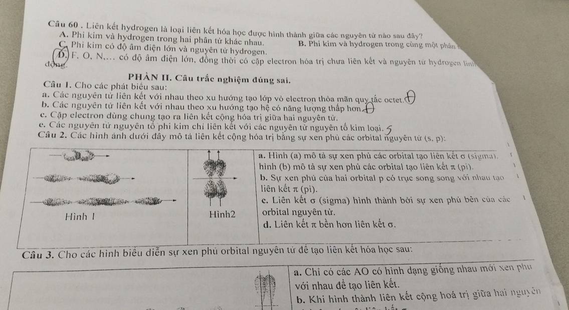 Liên kết hydrogen là loại liên kết hóa học được hình thành giữa các nguyên tử nào sau đây?
A. Phi kim và hydrogen trong hai phân tử khác nhau. B. Phi kim và hydrogen trong cùng một phân
C Phi kim có độ âm điện lớn và nguyên tử hydrogen.
D.)F. O, N,... có độ âm điện lớn, đồng thời có cập electron hóa trị chưa liên kết và nguyên từ hydrogen ln
động
PHÀN II. Câu trắc nghiệm đúng sai.
Câu 1. Cho các phát biêu sau:
a. Các nguyên tử liên kết với nhau theo xu hướng tạo lớp vỏ electron thỏa mãn quy tắc octet.
b. Các nguyên tử liên kết với nhau theo xu hướng tạo hệ có năng lượng thấp hơn
c. Cặp electron dùng chung tạo ra liên kết cộng hóa trị giữa hai nguyên tử.
e. Các nguyên tử nguyên tổ phi kim chỉ liên kết với các nguyên tử nguyên tố kim loại.
Câu 2. Các hình ánh dưới đây mô tả liên kết cộng hóa trị bằng sự xen phủ các orbital nguyên tử (s.p):
a. Hình (a) mô tả sự xen phủ các orbital tạo liên kết σ (sigma).
hình (b) mô tả sự xen phủ các orbital tạo liên kết π (pi).
b. Sự xen phủ của hai orbital p có trục song song với nhau tạo 1
liên kết π (pi).
c. Liên kết σ (sigma) hình thành bởi sự xen phủ bên của các
Hình l Hình2 orbital nguyên tử.
d. Liên kết π bền hơn liên kết σ.
Câu 3. Cho các hình biểu diễn sự xen phủ orbital nguyên tử để tạo liên kết hóa học sau:
a. Chi có các AO có hình dạng giống nhau mới xen phụ
với nhau đề tạo liên kết.
b. Khi hình thành liên kết cộng hoá trị giữa hai nguyên