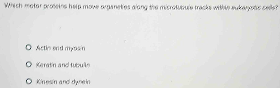 Which motor proteins help move organelles along the microtubule tracks within eukaryotic cells?
Actin and myosin
Keratin and tubulin
Kinesin and dynein