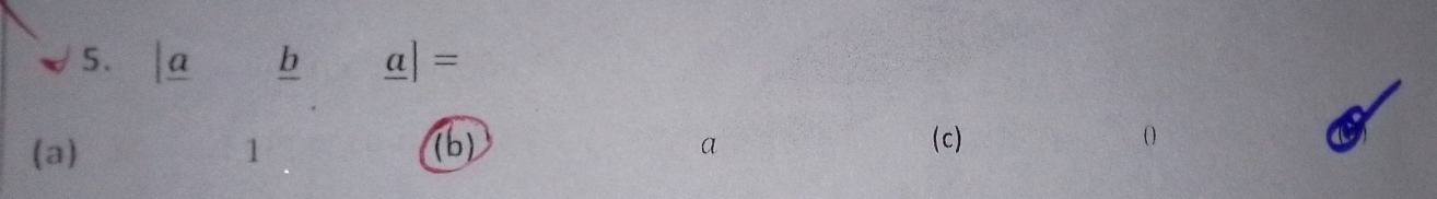 |_ a frac b.frac a=
(a) 1 (c) 0
a