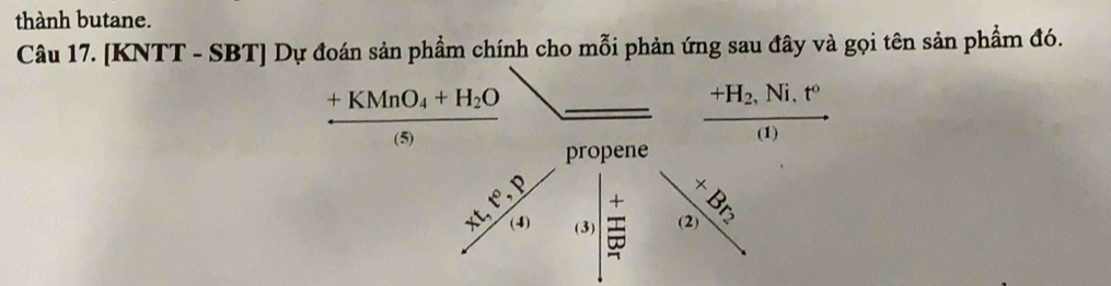 thành butane. 
Câu 17. [KNTT - SBT] Dự đoán sản phầm chính cho mỗi phản ứng sau đây và gọi tên sản phẩm đó.
frac +KMnO_4+H_2O(s) _  
frac +H_2,Ni.Ni(1) 
propene 
_ _ circ 
 (xt,t^0,p)/(s)  (3) (2)