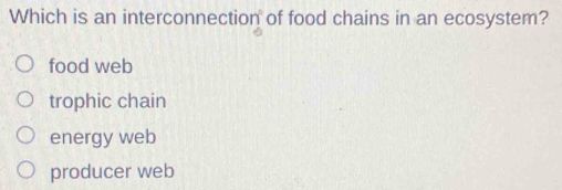 Which is an interconnection of food chains in an ecosystem?
food web
trophic chain
energy web
producer web