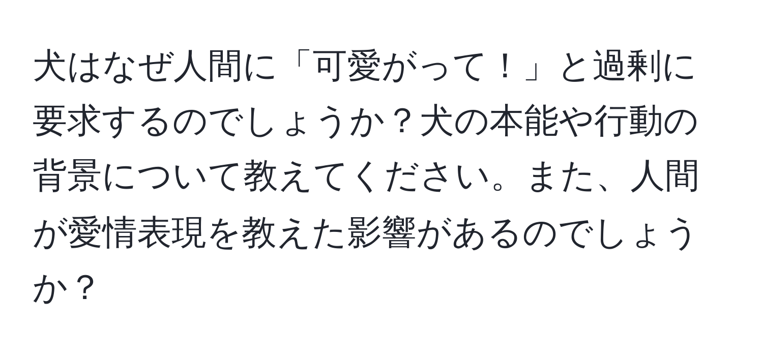 犬はなぜ人間に「可愛がって！」と過剰に要求するのでしょうか？犬の本能や行動の背景について教えてください。また、人間が愛情表現を教えた影響があるのでしょうか？