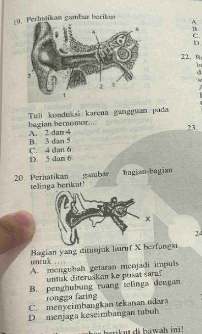 Perhatikan gambar berikut
A.
B.
C,
D.
22. B
be
d
S
Tuli konduksi karena gangguan pada
bagian bernomor...
23.
A. 2 dan 4
B. 3 dan 5
C. 4 dan 6
D. 5 dan 6
20. Perhatikan gambar bagian-bagian
telinga berikut!
x
24
Bagian yang ditunjuk huruf X berfungsi
untuk
A. mengubah getaran menjadi impuls
untuk diteruskan ke pusat saraf
B. penghubung ruang telinga dengan
rongga faring
C. menyeimbangkan tekanan udara
D. menjaga keseimbangan tubuh
r berikut di bawah ini!