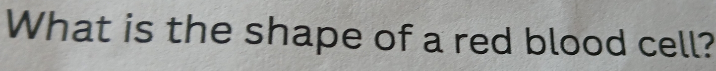 What is the shape of a red blood cell?