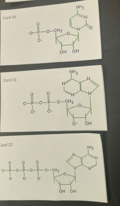 Card 30
Card 31
Card 32
"0