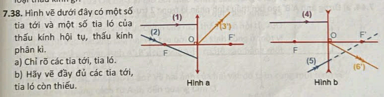 Hình vẽ dưới đây có một số
tia tới và một số tia ló của
thấu kính hội tụ, thấu kính
phân kì.
a) Chỉ rõ các tia tới, tia ló.
b) Hãy vẽ đầy đủ các tia tới,
tia ló còn thiếu.