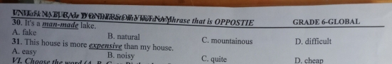 UNMark NABUBA DONRRSe W phrase that is OPPOSTIE GRADE 6 -GLOBAL
30. It's a man-made lake.
A. fake B. natural C. mountainous
31. This house is more expensive than my house. D. difficult
A. easy B. noisy C. quite D. chean
VI. Choose the wor