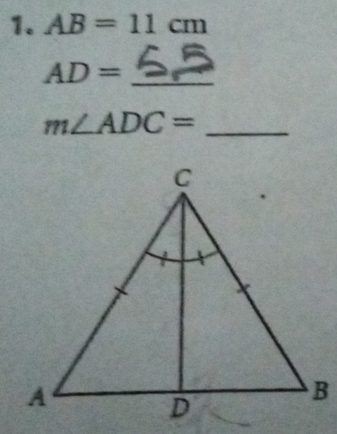 AB=11cm
AD= _
m∠ ADC= _