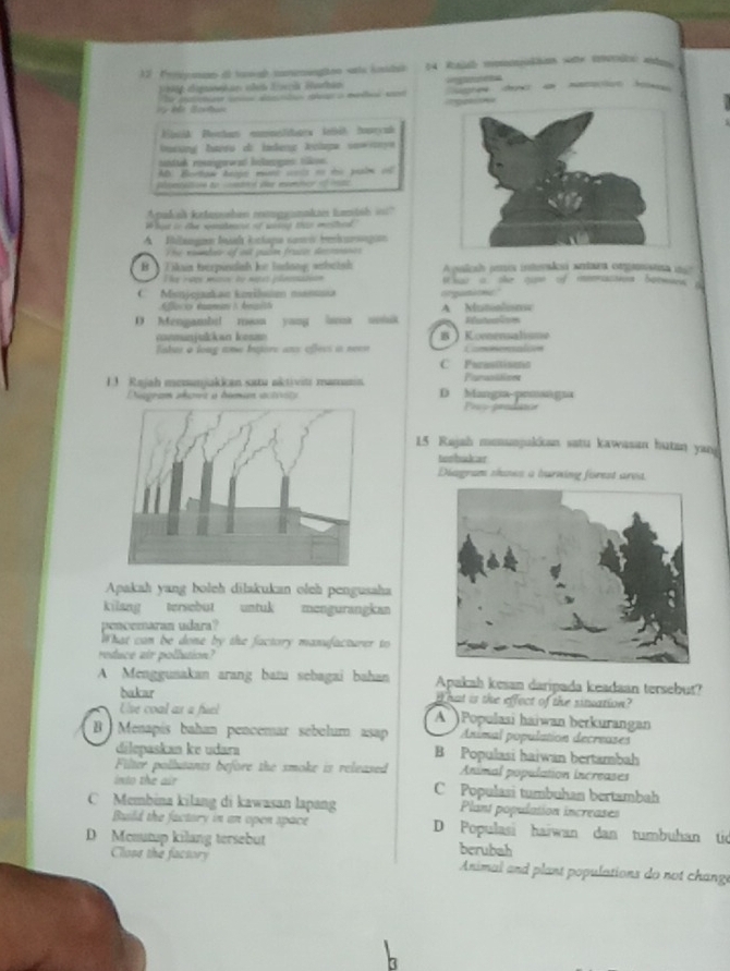 Perjunan dl toogh conemeaon sts inidi 14 Rial mto sae rdn ad
a  
ée Sontun   a ate p a m u
Hik Pentum eomnelidata intét honrynl
nsing barsu d ladeng lcapa sowrya 
atttah resaigewed hnlangn tilkon.
AD: Bortaw Ange mant wls no the pealm onl
pélsestatione du cvedntel ver eemation e 982
Apakal ketessahen roggunake tumtáh   
thout to the wonahecrit oof wiriig thee msterat
A Blangan baah kichapa sami beiurgio
The nombao of st pain fraces decrnnancs 
B  Tikan terpindish te todong webetsh  pulesh paes inteãe aiaes cmpmeto a   
The - s0e misos to notes ploootion W har a she qan of meeracsion botwmen a
Mojcakan kozilse nensua orgutione
A Mutinlone
D Mengambtl man yang laa uoik Rfeêennes
commnjukkan kesso BKomnensalisme
Tabue a long aow bjore ans effecs in neen Comtoatons
C Purasitisana
Punabiaioes
13 Rajah memunjukkan satu aktiviti maman D Mangsa-prmsagia
Dsgram aboms a bémén activsts Pruy pendace
15 Rajah mmanjukkan satu kawasan hutan yan
teohuker
Diagram shows a burning forest arva.
Apakah yang boleh dilakukan oleh pengusaha
kilang tersebut untuk mengurangkan
en cemaran udara?
What can be done by the factory manufacturer to
reduce air pollution?
A Menggunakan arang bat sebagai bahan Apakah kesan daripada keadaan tersebut?
bakar I hat is the effect of the sinuation?
Use coal as a fuel A  Populasi haiwan berkurangan
B ) Menapís bahan pencemar sebolum asap Animal population decreases
dilepaskan ke udara B Populasi haiwan bertambah
Filter polluants before the smoke is released Animal population increases
into the air C Populasi tumbuhan bertambah
C Membina kilang di kawasan lapang Plant population increases
Build the factory in an open space D Populasi haiwan dan tumbuhan tio
D Mcnutup kilang tersebut berubah
Cliose the factory  Animal and plant populations do not change