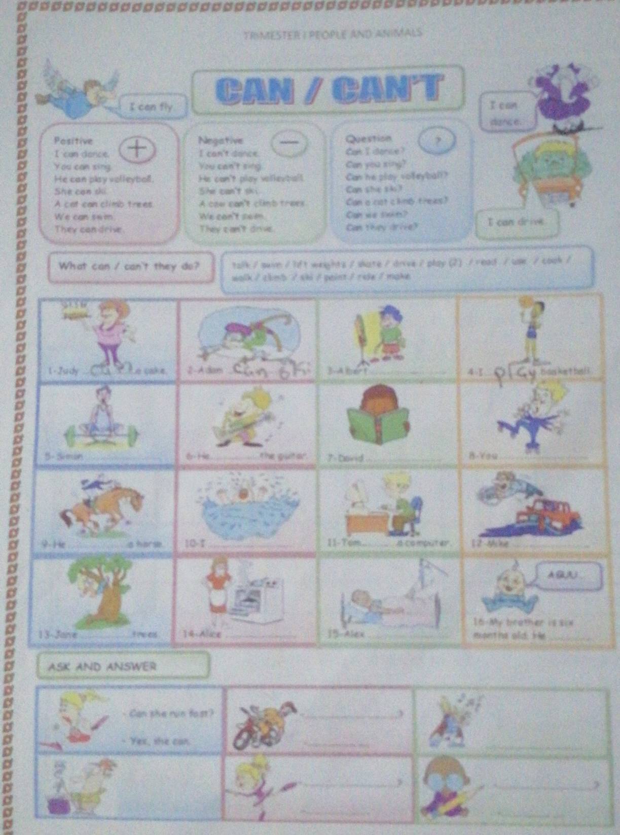 TRIMESTER I PEOPLE AND ANIMALS
CAN / CANT
I can fly 
Pesitive Negative Question ?
I can donce. I can't donce Car I donce?
You can sing You can't sing Can you xing?
He can play volleyboll. He can't play velleuball. Can he play vofeyball?
She can ski She can't ski Can she sk?
A cat can climb trees A caw can't climb traes Can a cot cling trews?
We can swm We can't sam Can we sixits?
D They can drise They can't drve Can they drive?
What can / can't they do? talk / suve / lft weights / shate / drive / play (2) / read / use / cook /
walk / cbmb / ski / paint / rsie / make 
ASK AND ANSWER
Can she run fast?
_
- Yes, she can.
_
_
_
_>
_