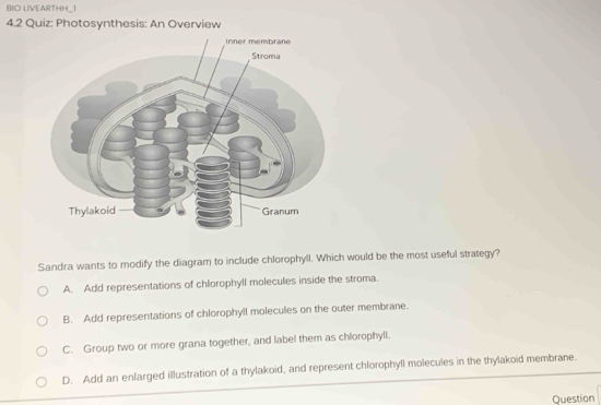 BIO LIVEARTHH_1
4.2 Quiz: Photosynthesis: An Overview
Sandra wants to modify the diagram to include chlorophyll. Which would be the most useful strategy?
A. Add representations of chlorophyll molecules inside the stroma.
B. Add representations of chlorophyll molecules on the outer membrane.
C. Group two or more grana together, and label them as chlorophyll.
D. Add an enlarged illustration of a thylakoid, and represent chlorophyll molecules in the thylakoid membrane.
Question