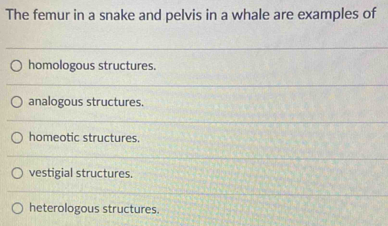 The femur in a snake and pelvis in a whale are examples of
homologous structures.
analogous structures.
homeotic structures.
vestigial structures.
heterologous structures.