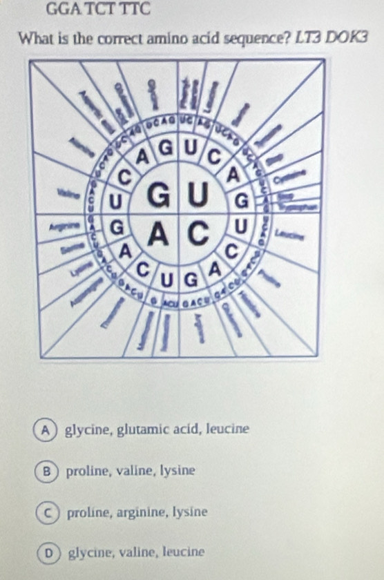 GGA TCT TTC
What is the correct amino acid sequence? LT3 DOK3
A glycine, glutamic acid, leucine
B proline, valine, lysine
C) proline, arginine, lysine
Dglycine, valine, leucine