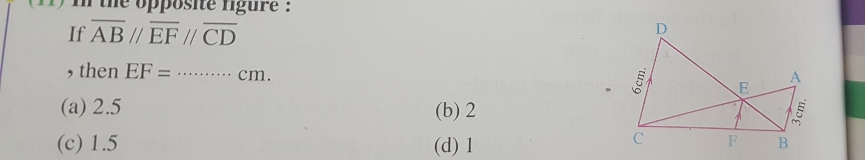 ) in the opposite figure .
If overline ABparallel overline EFparallel overline CD
,then EF= _  ....... cm.
.
(a) 2.5 (b) 2
(c) 1.5 (d) 1