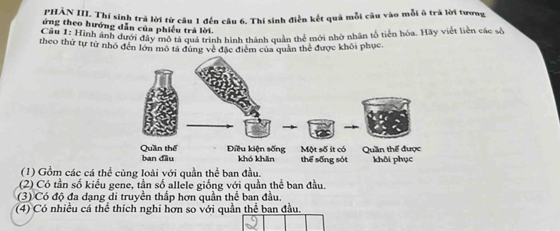 PHẢN III. Thí sính trả lời từ câu 1 đến câu 6. Thí sinh điền kết quả mỗi cầu vào mỗi ô trả lời tương
ứng theo hướng dẫn của phiếu trả lời.
Câu 1: Hình ảnh dưới đây mô tả quá trình hình thành quần thể mới nhờ nhân tổ tiến hóa. Hãy viết liền các số
theo thứ tự từ nhỏ đến lớn mô tả đùng về đặc điểm của quân thể được khôi phục.
(1) Gồm các cá thể cùng loài với quần thể ban đầu.
(2) Có tần số kiểu gene, tần số allele giống với quần thể ban đầu.
(3) Có độ đa dạng di truyền thấp hơn quần thể ban đầu.
(4) Có nhiều cá thể thích nghi hơn so với quần thể ban đầu.