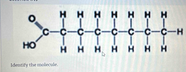 beginarrayr o C-C-C-C-C-C-C-H H-HHHHNendarray
Identify the molecule.