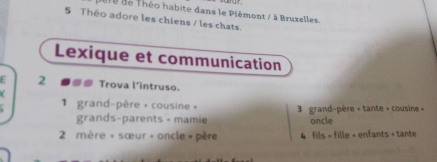 pere de Théo habite dans le Piémont / à Bruxelles. 
5 Théo adore les chiens / les chats. 
Lexique et communication 
E 2 Trova l'intruso. 
1 grand-père × cousine » 
3 grand-père × tante » cousine » 
grands-parents × mamie oncle 
2 mère « sœur » oncle » père 4 fils » fille × enfants « tante