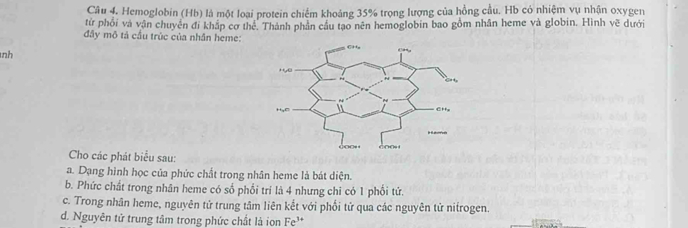 Hemoglobin (Hb) là một loại protein chiếm khoảng 35% trọng lượng của hồng cầu. Hb có nhiệm vụ nhận oxygen 
từ phối và vận chuyển đi khắp cơ thể. Thành phân cầu tạo nên hemoglobin bao gồm nhân heme và globin. Hình vẽ dưới 
đây mô tả cầu trúc của nhân heme: 
nh 
Cho các phát biểu sau: 
a. Dạng hình học của phức chất trong nhân heme là bát diện. 
b. Phức chất trong nhân heme có số phối trí là 4 nhưng chi có 1 phối tứ. 
c. Trong nhân heme, nguyên tử trung tâm liên kết với phối tử qua các nguyên tử nitrogen. 
d. Nguyên tử trung tâm trong phức chất là ion Fe^(3+)