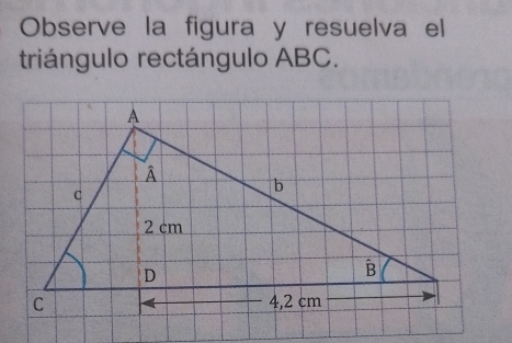 Observe la figura y resuelva el
triángulo rectángulo ABC.