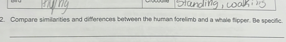 Crocodte 
2. Compare similarities and differences between the human forelimb and a whale flipper. Be specific. 
_