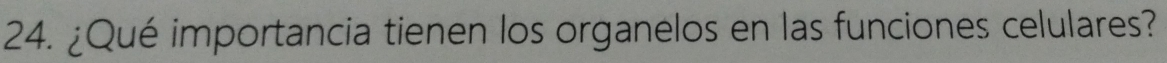 ¿Qué importancia tienen los organelos en las funciones celulares?
