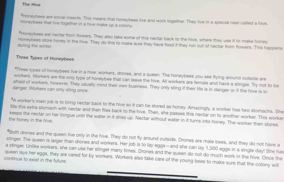 The Hive 
*Honeybees are social insects. This means that honeybees live and work together. They live in a special nest called a hive. 
Honeybees that live together in a hive make up a colony. 
*Honeybees eat nectar from flowers. They also take some of this nectar back to the hive, where they use it to make honey. 
Honeybees store honey in the hive. They do this to make sure they have food if they run out of nectar from flowers. This happens 
during the winter. 
Three Types of Honeybees 
“Three types of honeybees live in a hive: workers, drones, and a queen. The honeybees you see flying around outside are 
workers. Workers are the only type of honeybee that can leave the hive. All workers are female and have a stinger. Try not to be 
afraid of workers, however. They usually mind their own business. They only sting if their life is in danger or if the hive is in 
danger. Workers can only sting once. 
"A worker's main job is to bring nectar back to the hive so it can be stored as honey. Amazingly, a worker has two stomachs. She 
fills this extra stomach with nectar and then flies back to the hive. Then, she passes this nectar on to another worker. This worker 
keeps the nectar on her tongue until the water in it dries up. Nectar without water in it turns into honey. The worker then stores 
the honey in the hive. 
*Both drones and the queen live only in the hive. They do not fly around outside. Drones are male bees, and they do not have a 
stinger. The queen is larger than drones and workers. Her job is to lay eggs—and she can lay 1,500 eggs in a single day! She has 
a stinger. Unlike workers, she can use her stinger many times. Drones and the queen do not do much work in the hive. Once the 
queen lays her eggs, they are cared for by workers. Workers also take care of the young bees to make sure that the colony will 
continue to exist in the future.