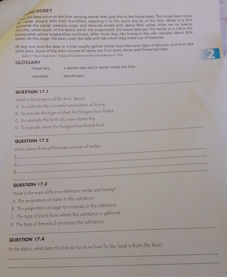 NG HỒNEY
n the bees arrive at the hive carrying nectar they give this to the house bees. The house bees move
nectar around with their mandibles, exposing it to the warm dry air of the hive. When it is firv
gathered the nectar contains sugar and minerals mixed with about 80% water. After ten to twenty
minutes, when much of the excess water has evaporated, the house bees put the neciar in a cell in the
honeycomb where evaporation continues. After three days, the honey in the cells contains about 20%
water. At this stage, the bees cover the cells with lids which they make out of beeswax.
At any one time the bees in a hive usually gather nectar from the same type of blossom and from the
same area. Some of the main sources of nectar are fruit trees, clover and flowering trees.
Source: ''Hum Sweet Hum'', Natignal Foundation for Educational Research, 1993.
GLOSSARY
house bee a worker bee which works inside the hive.
mandible mouth-part.
QUESTION 17.1
What is the purpose of the bees' dance?
A. To celebrate the successful production of honey.
B. To indicate the type of plant the foragers have found.
C. To celebrate the birth of a new Queen Bee.
D. To indicate where the foragers have found food.
QUESTION 17.2
Write down three of the main sources of nectar.
_
1..
_
2..
_
3
QUESTION 17.3
What is the main difference between nectar and honey?
A. The proportion of water in the substance.
B. The proportion of sugar to minerals in the substance.
C. The type of plant from which the substance is gathered.
_
D. The type of bee which processes the substance.
QUESTION 17.4
_
In the dance, what does the bee do to show how far the food, is from the hive?
_