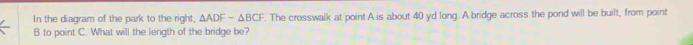 In the diagram of the park to the right, △ ADFsim △ BCF. The crosswalk at point A is about 40 yd long. A bridge across the pond will be built, from point
B to point C. What will the length of the bridge be?