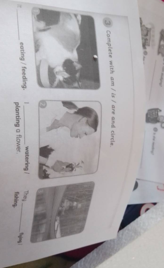 A 
I is she reading? 
_ 
3 Complete with am / is / are and circle. 
I_ eating / feeding. _ 
watering / They_ 
planting a flower. 
flying / 
fishing.