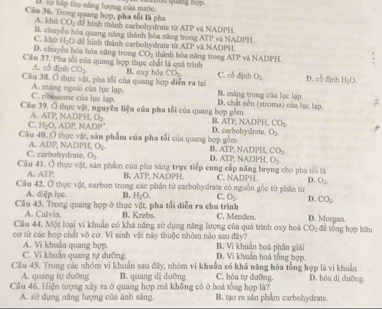 on quảng hợ
D. sự hập thụ năng lượng của nước.
Câu 36. Trong quang hợp, pha tối là pha
A. khử CO_2 dể hình thành carbohydrate từ ATP và NADPH.
B. chuyển hóa quang năng thành hóa năng trong ATP và NADPH.
C. khù H_2O đề hình thành carbohydrate từ ATP và NADPH.
D. chuyển hóa hóa năng trong CO_2 thành hóa năng trong ATP và NADPH.
Câu 37. Pha tối của quang hợp thực chất là quá trình
A. cố định CO_2. B. oxy hóa CO_2. C. cố định O_2. D. chat o đjnh H_2O.
Câu 38. Ở thực vật, pha tối của quang hợp diễn ra tại
A. màng ngoài của lục lạp. B. màng trong của lục lạp.
C. ribosome của lục lạp. D. chất nền (stroma) của lục lạp.
Câu 39. Ở thực vật, nguyên liệu của pha tối của quang hợp gồm
A. ATP, NADPH, O_2. B. ATP, NADPH, CO_2.
C. H_2O,ADP,NADP^+. D. carbohydrate, O_2.
Câu 40. Ở thực vật, sãn phẩm của pha tối của quang hợp gồm
A. A J P, NADPH, O_2. B. ATP, NADI PH, CO_2.
C. carbohydrate, O_2. D. ATP NADPI H O_2.
Câu 41. overset . thực vật, sản phẩm của pha sáng trực tiếp cung cấp năng lượng cho pha tối là
A. ATP. B. ATP, NADPH. C. NADPH. D. O_2.
Câu 42. Ở thực vật, carbon trong các phân tử carbohydrate có nguồn gốc từ phân từ
A. diệp lục. B. H_2O. C. O_2. D. CO_2.
Câu 43. Trong quang hợp ở thực vật, pha tối diễn ra chu trình
A. Calvin. B. Krebs. C. Menden. D. Morgan.
Câu 44. Một loại vi khuẩn có khả năng sử dụng năng lượng của quá trình oxy hoá CO_2 để tổng hợp hữu
cơ từ các hợp chất vô cơ. Vi sinh vật này thuộc nhóm nào sau đây?
A. Vi khuẩn quang hợp. B. Vi khuần hoá phân giải
C. Vi khuân quang tự dưỡng. D. Vi khuần hoá tồng hợp.
Cầu 45. Trong các nhóm vi khuẩn sau đây, nhóm vi khuẩn có khả năng hóa tổng hợp là vi khuẩn
A. quang tự dưỡng B. quang dị dưỡng C. hóa tự dưỡng. D. hóa dj dưỡng.
Câu 46. Hiện tượng xảy ra ở quang hợp mà không có ở hoá tồng hợp là?
A. sử dụng năng lượng của ánh sáng. B. tạo ra sản phẩm carbohydrate.