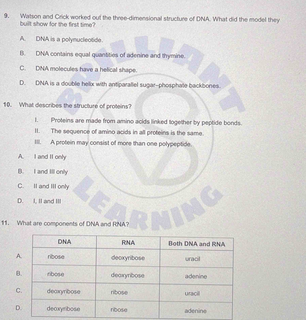 Watson and Crick worked out the three-dimensional structure of DNA. What did the model they
built show for the first time?
A. DNA is a polynucleotide.
B. DNA contains equal quantities of adenine and thymine.
C. DNA molecules have a helical shape.
D. DNA is a double helix with antiparallel sugar--phosphate backbones.
10. What describes the structure of proteins?
I. Proteins are made from amino acids linked together by peptide bonds.
II. The sequence of amino acids in all proteins is the same.
III. A protein may consist of more than one polypeptide.
A. I and II only
B. I and III only
C. II and III only
D. I, II and III
11. What are components of DNA and RNA?