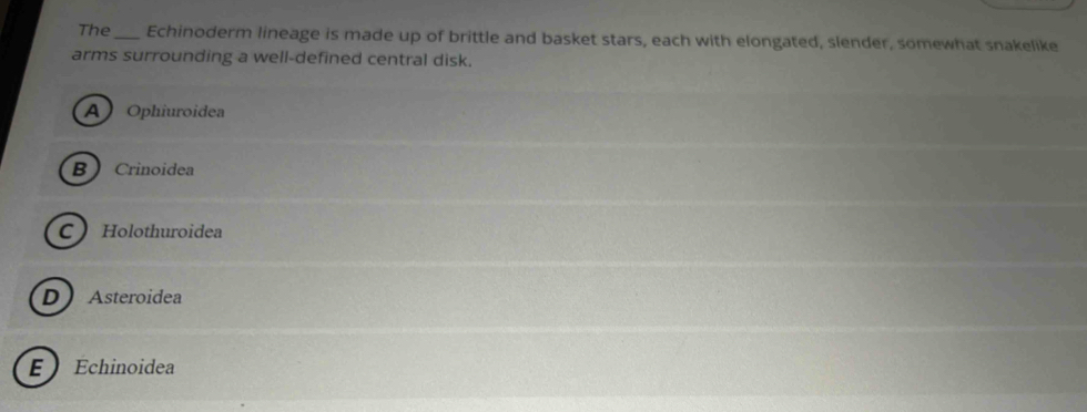 The_ Echinoderm lineage is made up of brittle and basket stars, each with elongated, slender, somewhat snakelike
arms surrounding a well-defined central disk.
A Ophiuroidea
B Crinoidea
C Holothuroidea
D Asteroidea
Échinoidea