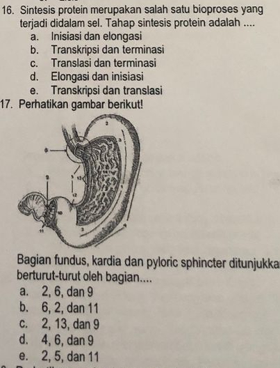 Sintesis protein merupakan salah satu bioproses yang
terjadi didalam sel. Tahap sintesis protein adalah ....
a. Inisiasi dan elongasi
b. Transkripsi dan terminasi
c. Translasi dan terminasi
d. Elongasi dan inisiasi
e. Transkripsi dan translasi
17. Perhatikan gambar berikut!
Bagian fundus, kardia dan pyloric sphincter ditunjukka
berturut-turut oleh bagian....
a. 2, 6, dan 9
b. 6, 2, dan 11
c. 2, 13, dan 9
d. 4, 6, dan 9
e. 2, 5, dan 11