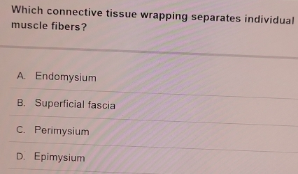 Which connective tissue wrapping separates individual
muscle fibers?
A. Endomysium
B. Superficial fascia
C. Perimysium
D. Epimysium