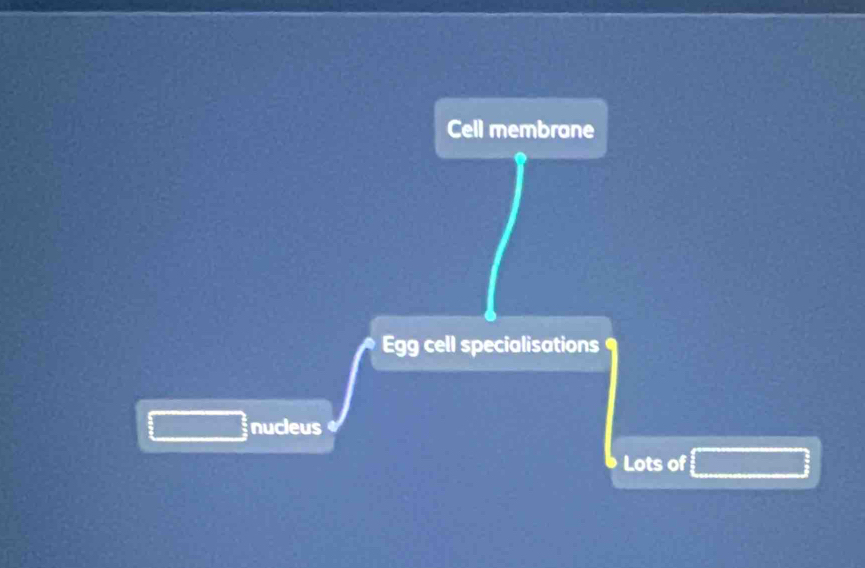 Cell membrane 
Egg cell specialisations 
nucleus 
Lots of