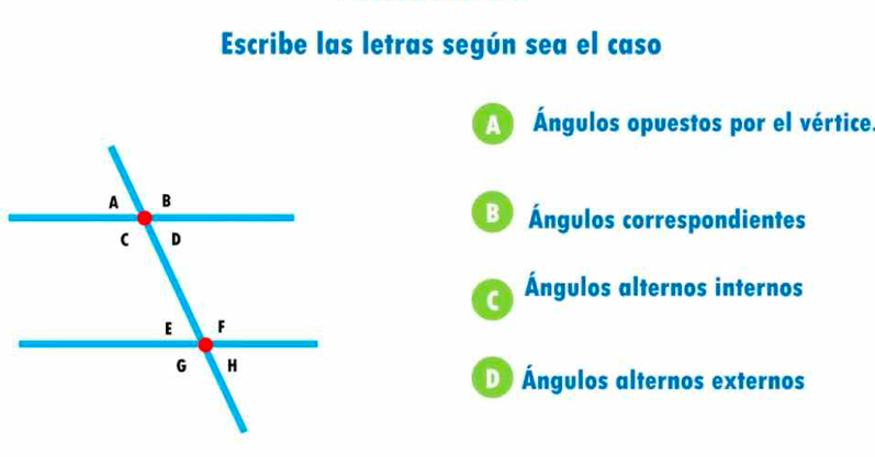 Escribe las letras según sea el caso
Ángulos opuestos por el vértice
B Ángulos correspondientes
C Ángulos alternos internos
D Ángulos alternos externos