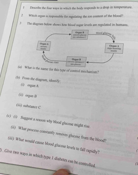 Describe the four ways in which the body responds to a drop in temperature. 
2 Which organ is responsible for regulating the ion content of the blood? 
3 The diagram below shows how blood sugar levels are regulated in hurans. 
(a) Wh name for this type of control mechanism? 
(b) From the diagram, identify: 
(i) organ A 
(ii) organ B 
(iii) substance C 
(c) (i) Suggest a reason why blood glucose might rise. 
(ii) What process constantly removes glucose from the blood? 
(iii) What would cause blood glucose levels to fall rapidly? 

) Give two ways in which type 1 diabetes can be controlled. 
(1