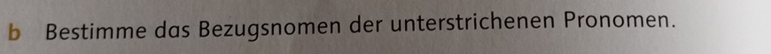 Bestimme das Bezugsnomen der unterstrichenen Pronomen.