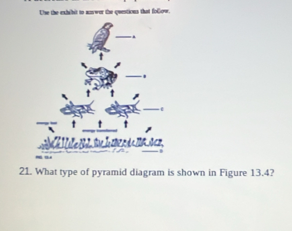 Use the exhibit to answer the questions that follow. 
21. What type of pyramid diagram is shown in Figure 13.4?