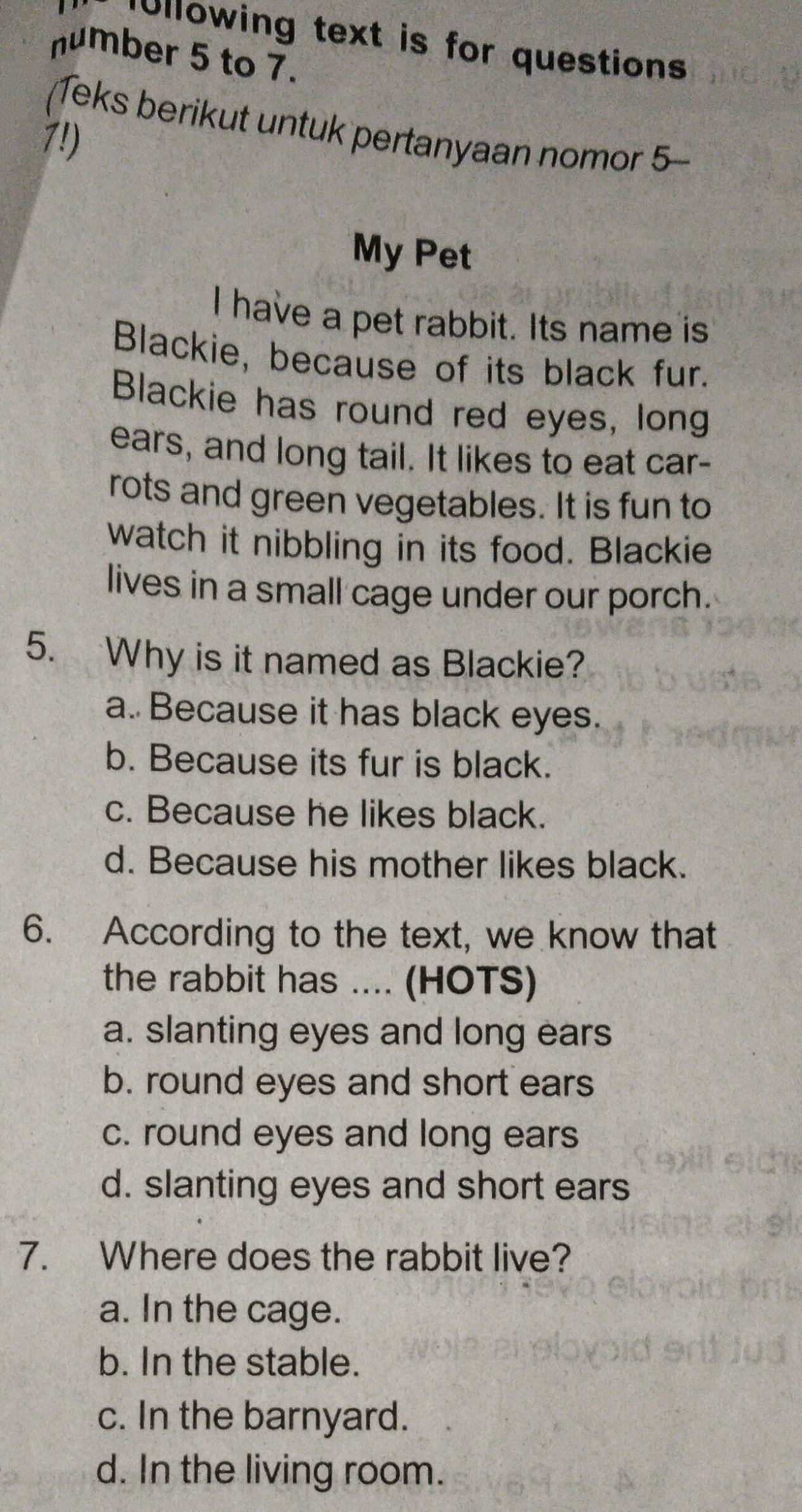 TUllowing text is for questions
number 5 to 7.
(Teks berikut untuk pertanyaan nomor 5-
7!)
My Pet
I have a pet rabbit. Its name is
Blackie, because of its black fur.
Blackie has round red eyes, long
ears, and long tail. It likes to eat car-
rots and green vegetables. It is fun to
watch it nibbling in its food. Blackie
lives in a small cage under our porch.
5. Why is it named as Blackie?
a. Because it has black eyes.
b. Because its fur is black.
c. Because he likes black.
d. Because his mother likes black.
6. According to the text, we know that
the rabbit has .... (HOTS)
a. slanting eyes and long ears
b. round eyes and short ears
c. round eyes and long ears
d. slanting eyes and short ears
7. Where does the rabbit live?
a. In the cage.
b. In the stable.
c. In the barnyard.
d. In the living room.