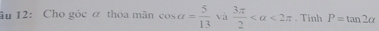 âu 12: Cho góc α thoa mãn cos alpha = 5/13  và  3π /2  <2π. Tính P=tan 2alpha