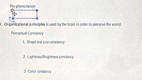 Phi phenomenon 
4. Organizational principles is used by the brain in order to perceive the world. 
Perceptual Constancy 
1. Shape and size constancy 
2. Lightness/Brightness constancy 
3、 Color constancy